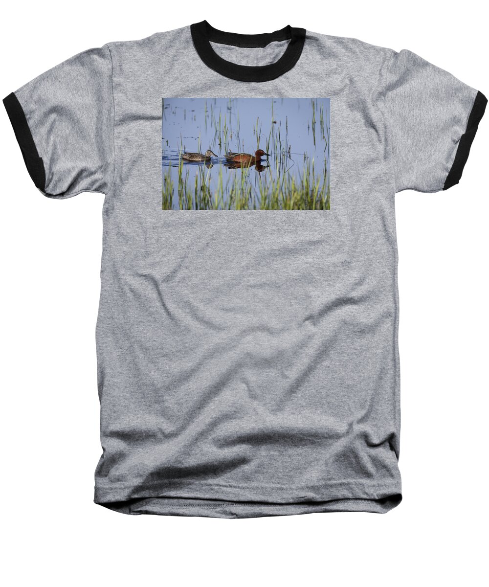 Cinnamon Baseball T-Shirt featuring the photograph Cinnamon Teal Pair by David Watkins