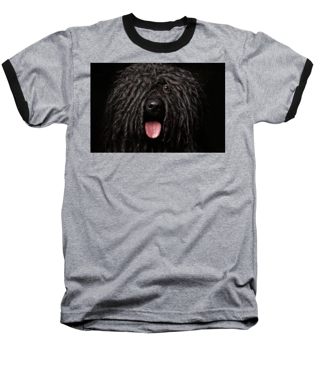 #faatoppicks Baseball T-Shirt featuring the photograph Close up Portrait of Puli Dog isolated on Black by Sergey Taran