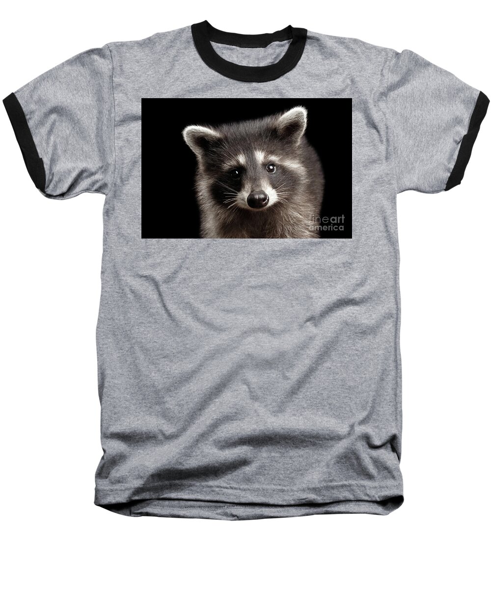#faatoppicks Baseball T-Shirt featuring the photograph Portrait Cute Baby Raccoon by Sergey Taran
