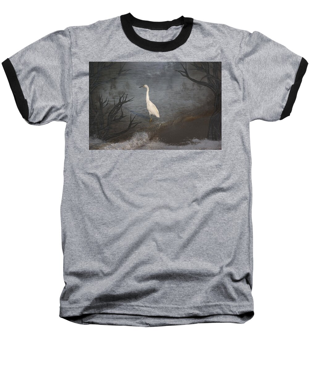  Tropical Birds Baseball T-Shirt featuring the photograph Coastal Birds by Athala Bruckner