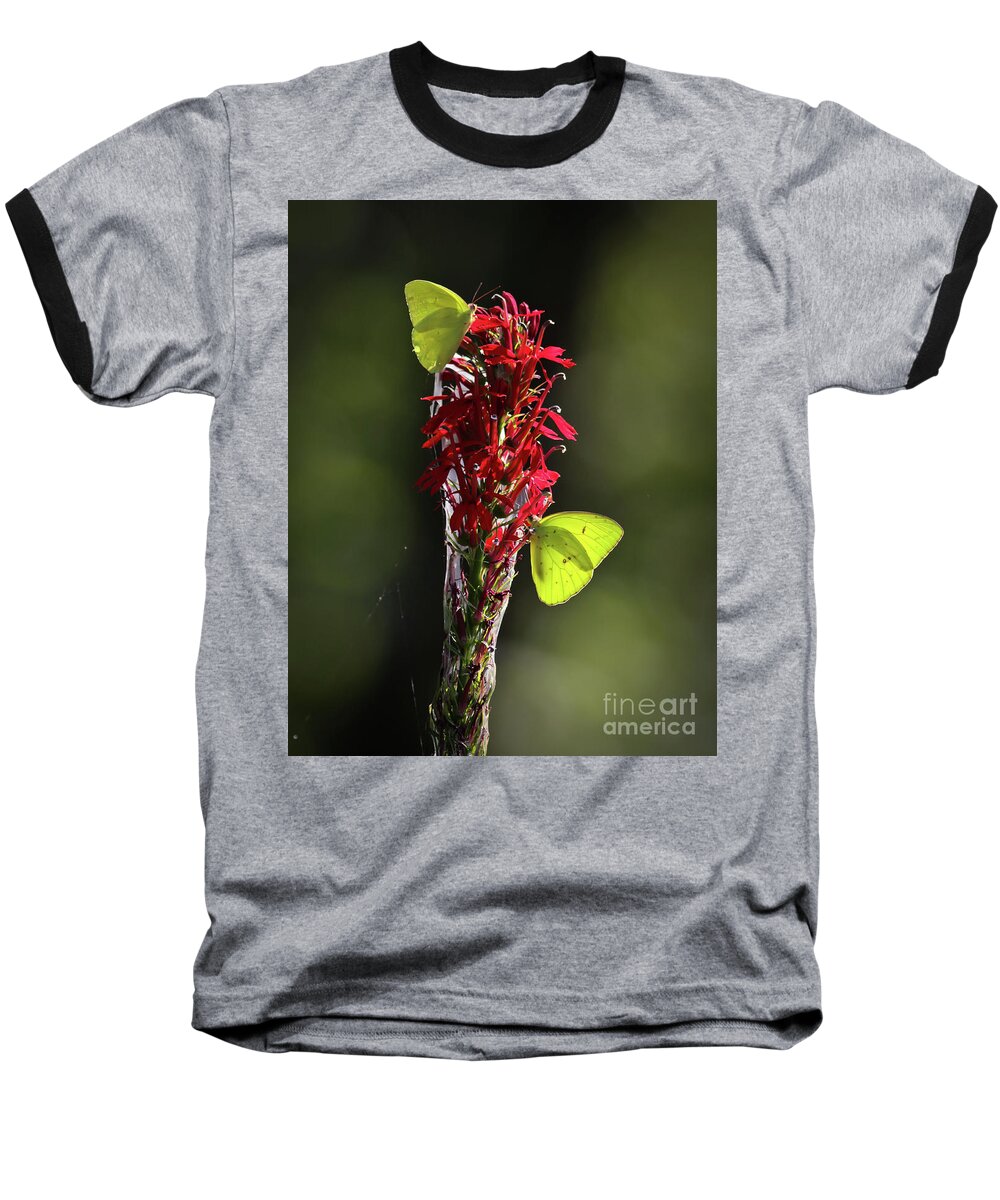 Citico Baseball T-Shirt featuring the photograph Color on Citico by Douglas Stucky