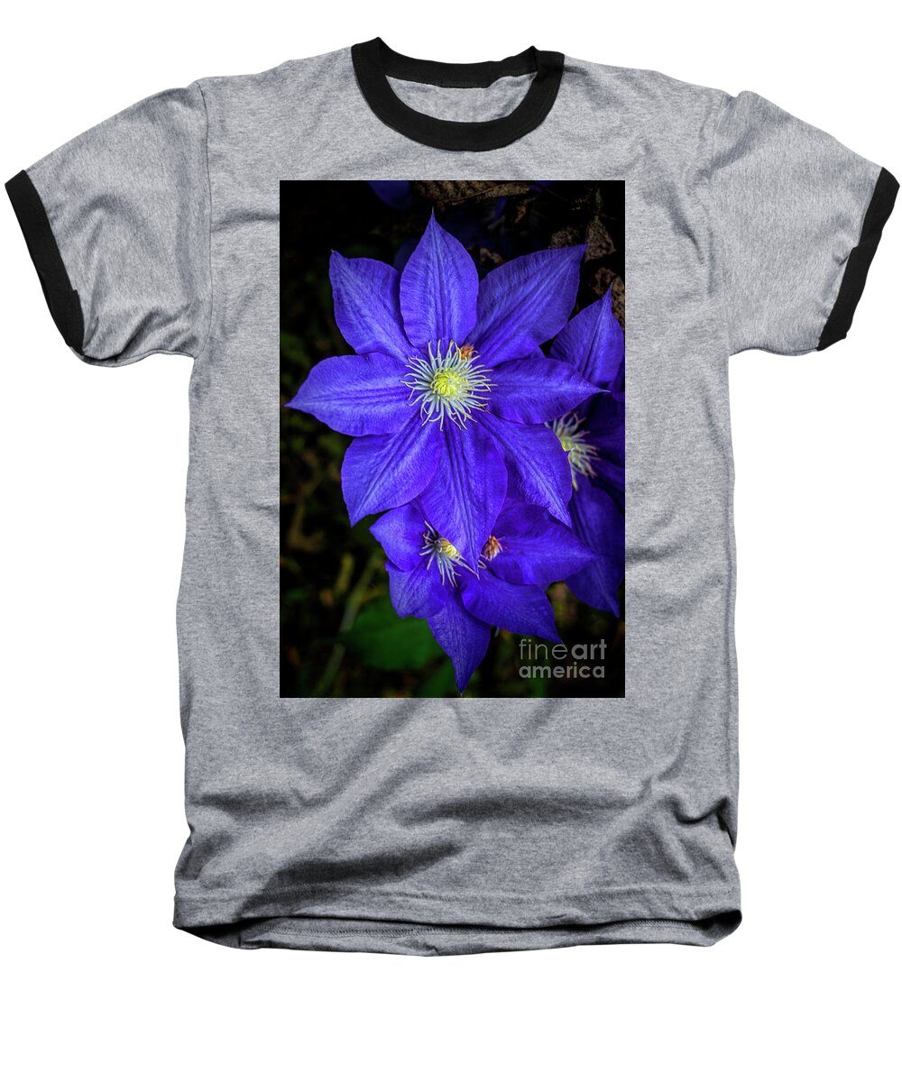 Flora Baseball T-Shirt featuring the photograph Color Me Purple #2 by Dave Bosse