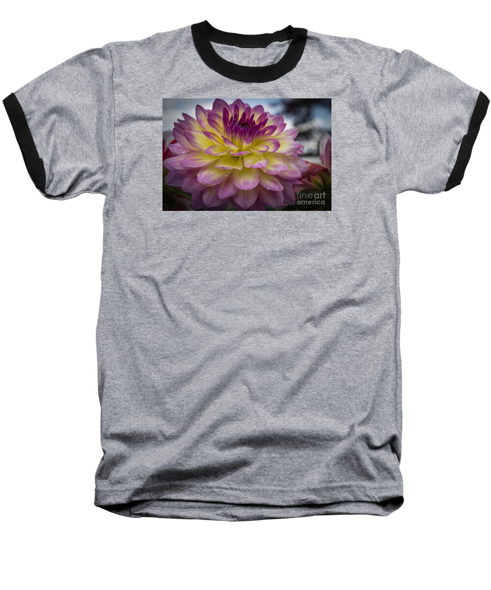 Flora Baseball T-Shirt featuring the photograph Color Starburst by Joann Long