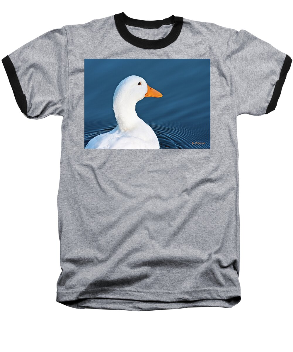 White Duck Baseball T-Shirt featuring the photograph Come Swim With Me by Ed Peterson