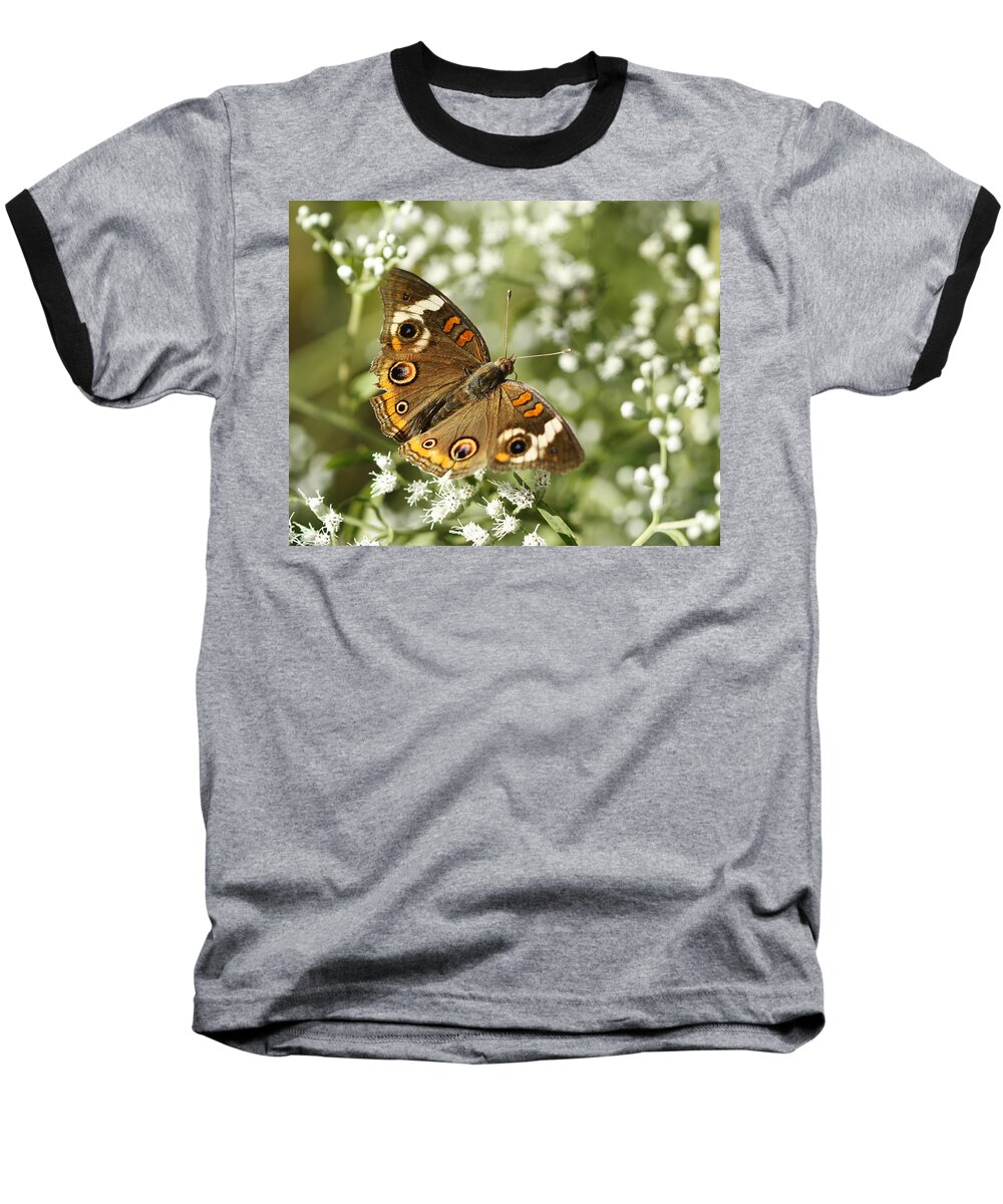 Common Buckeye Baseball T-Shirt featuring the photograph Common Buckeye Butterfly on White Thoroughwort Wildflowers by Kathy Clark