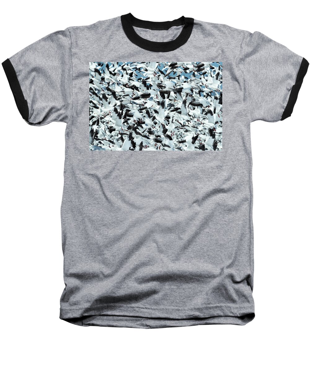 Snow Baseball T-Shirt featuring the photograph Controlled Chaos by Everet Regal