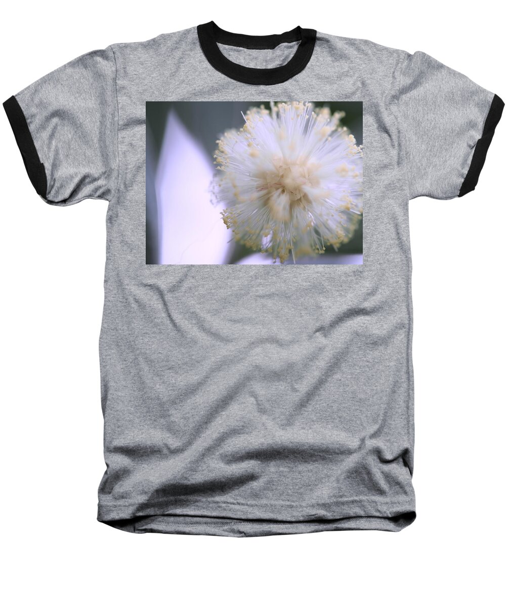 Flower Baseball T-Shirt featuring the photograph Coolly Abstract by Jessica Myscofski