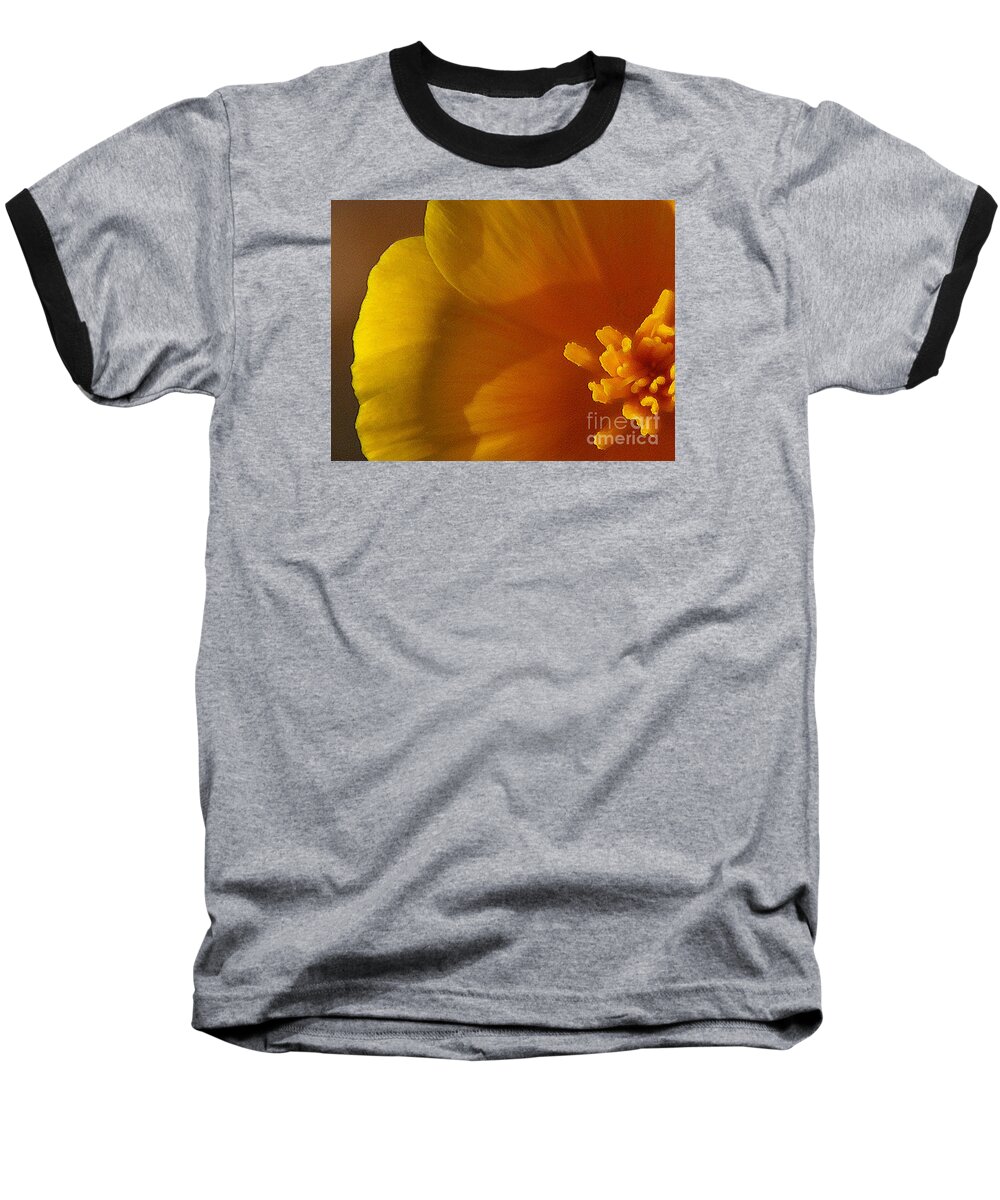 Poppy Baseball T-Shirt featuring the photograph Copa de Oro - subdued by Linda Shafer
