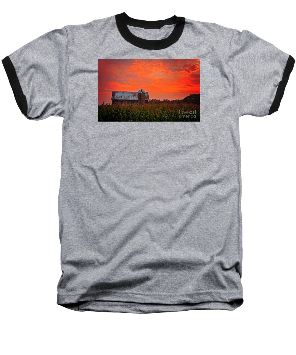 Ludington Michigan Baseball T-Shirt featuring the photograph Corn by Randall Cogle
