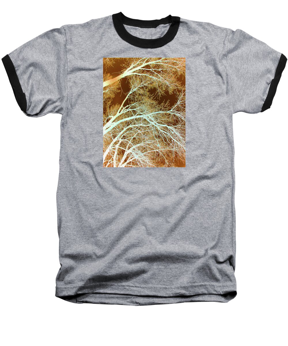 Cottonwoods Baseball T-Shirt featuring the photograph Cottonwood Conflux by Cris Fulton