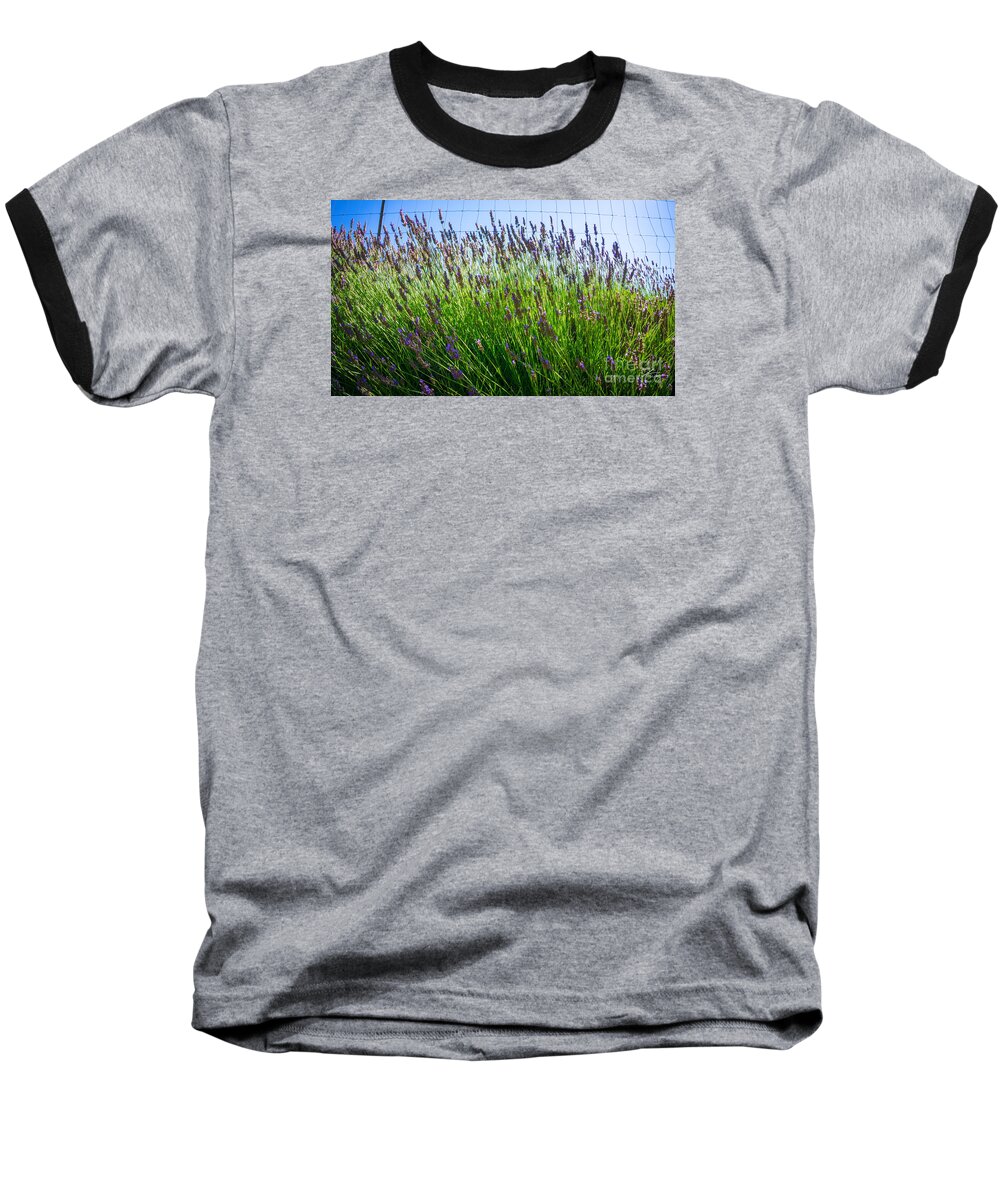 Flowers Baseball T-Shirt featuring the photograph Country Lavender II by Shari Warren