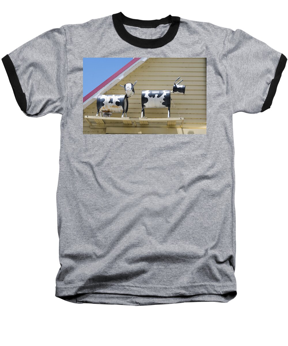 Australia Baseball T-Shirt featuring the photograph Cow Sculptures by Steven Ralser