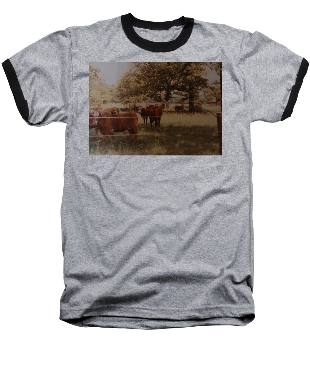 Cows Baseball T-Shirt featuring the photograph Cows by Rob Hans
