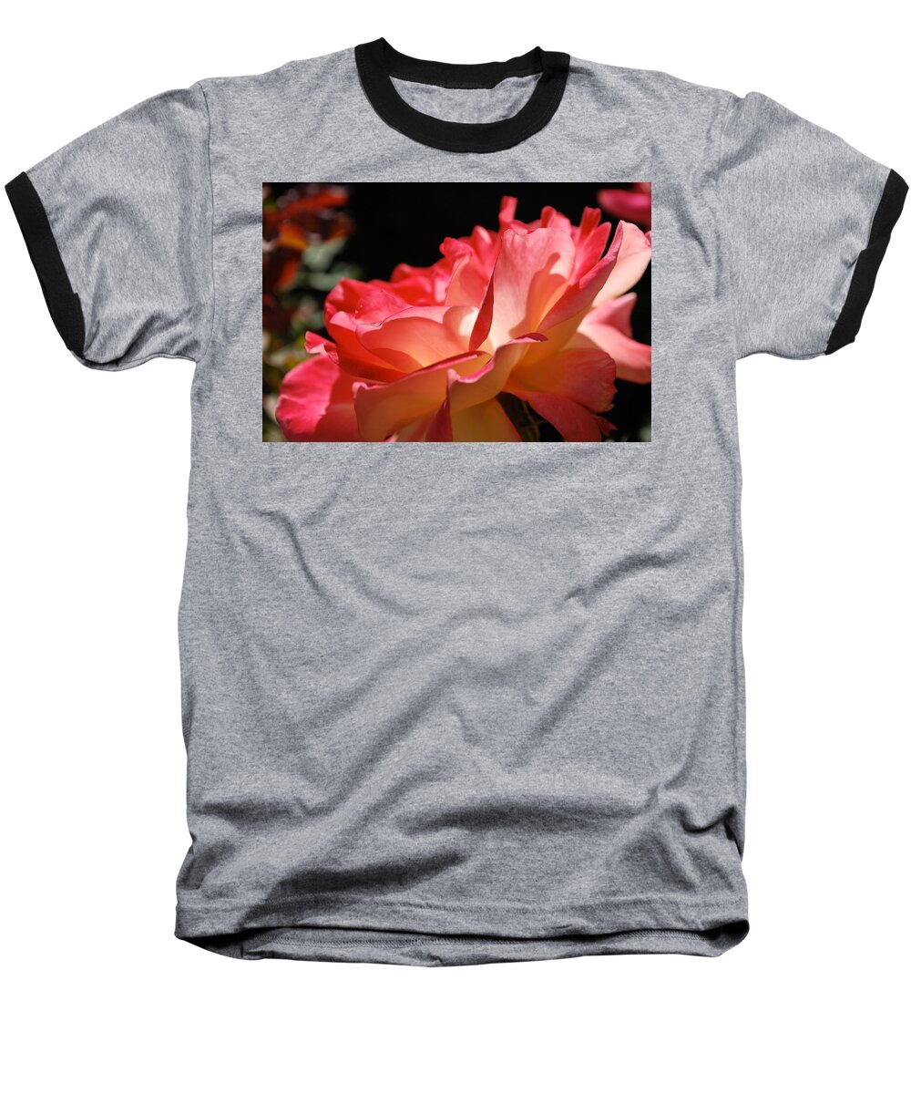 Rose Baseball T-Shirt featuring the photograph Cracklin' Rose by Sandra Lee Scott