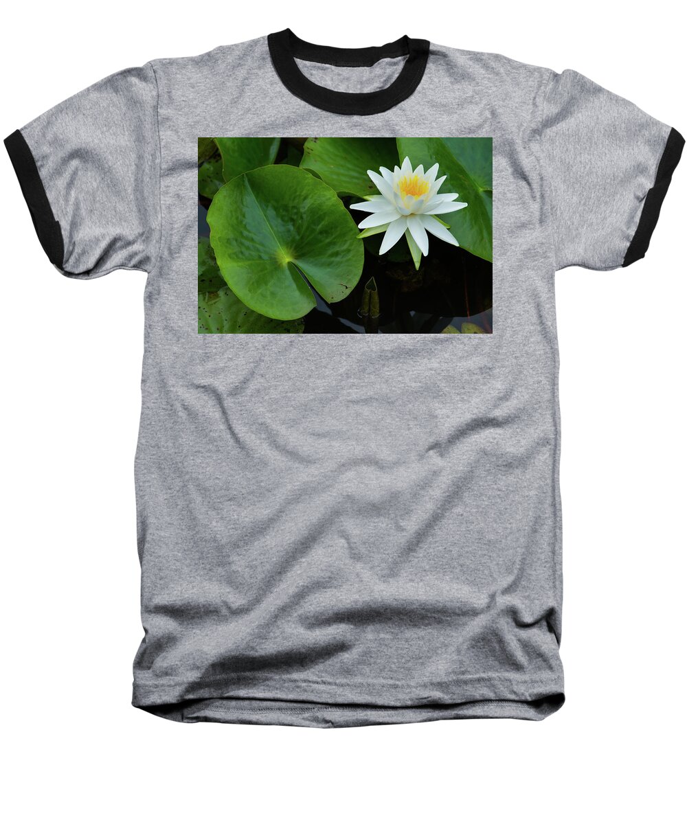 Bloom Baseball T-Shirt featuring the photograph Crisp White and Yellow Lily by Dennis Dame
