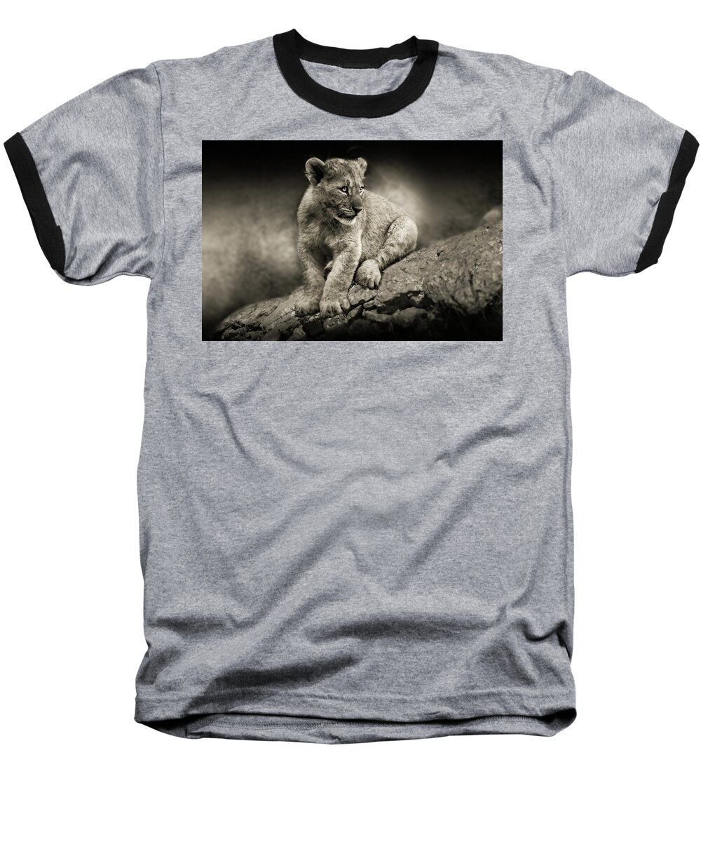 Lion Baseball T-Shirt featuring the photograph Cub by Christine Sponchia