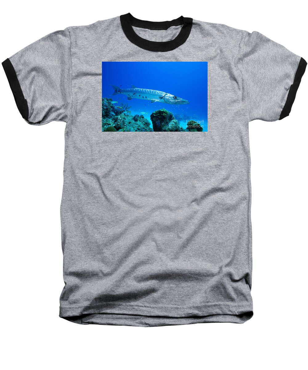 Barracuda Baseball T-Shirt featuring the photograph Shimmer by Aaron Whittemore