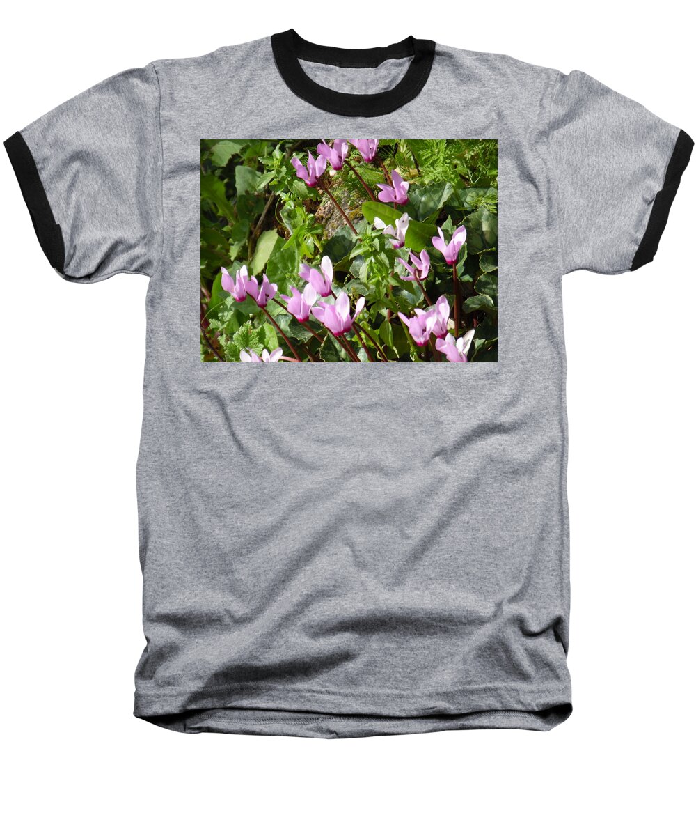 Cyclamen In Spring Baseball T-Shirt featuring the painting Cyclamen in Spring by Esther Newman-Cohen