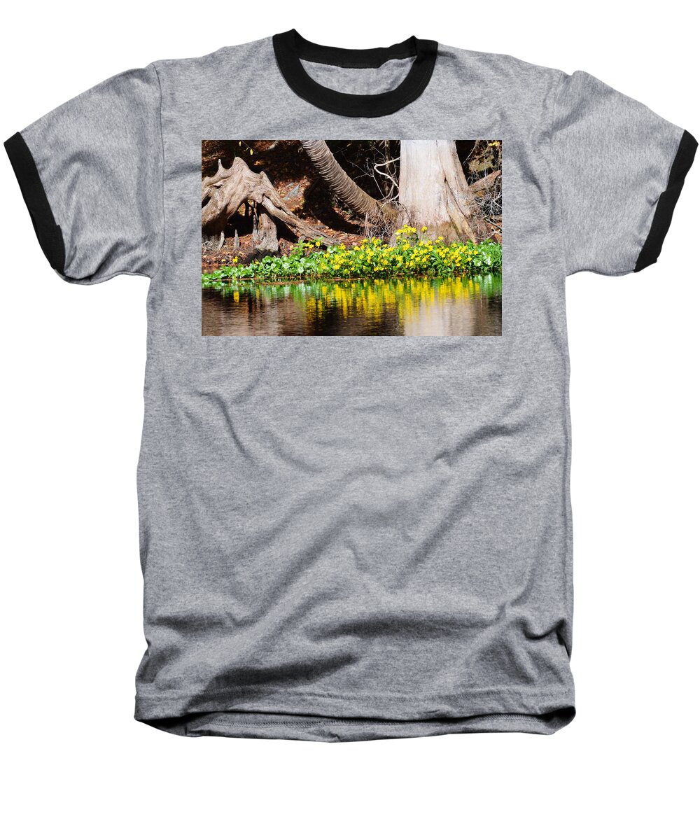 Cypress And Flower Reflections Baseball T-Shirt featuring the photograph Cypress and Flower Reflections by Warren Thompson