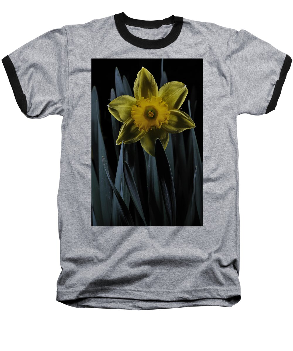 Daffodil Baseball T-Shirt featuring the photograph Daffodil By Moonlight by Mark Fuller