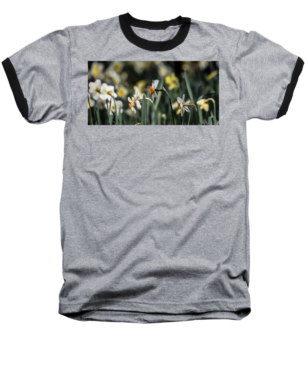  Baseball T-Shirt featuring the photograph Daffodils by Wendy Carrington
