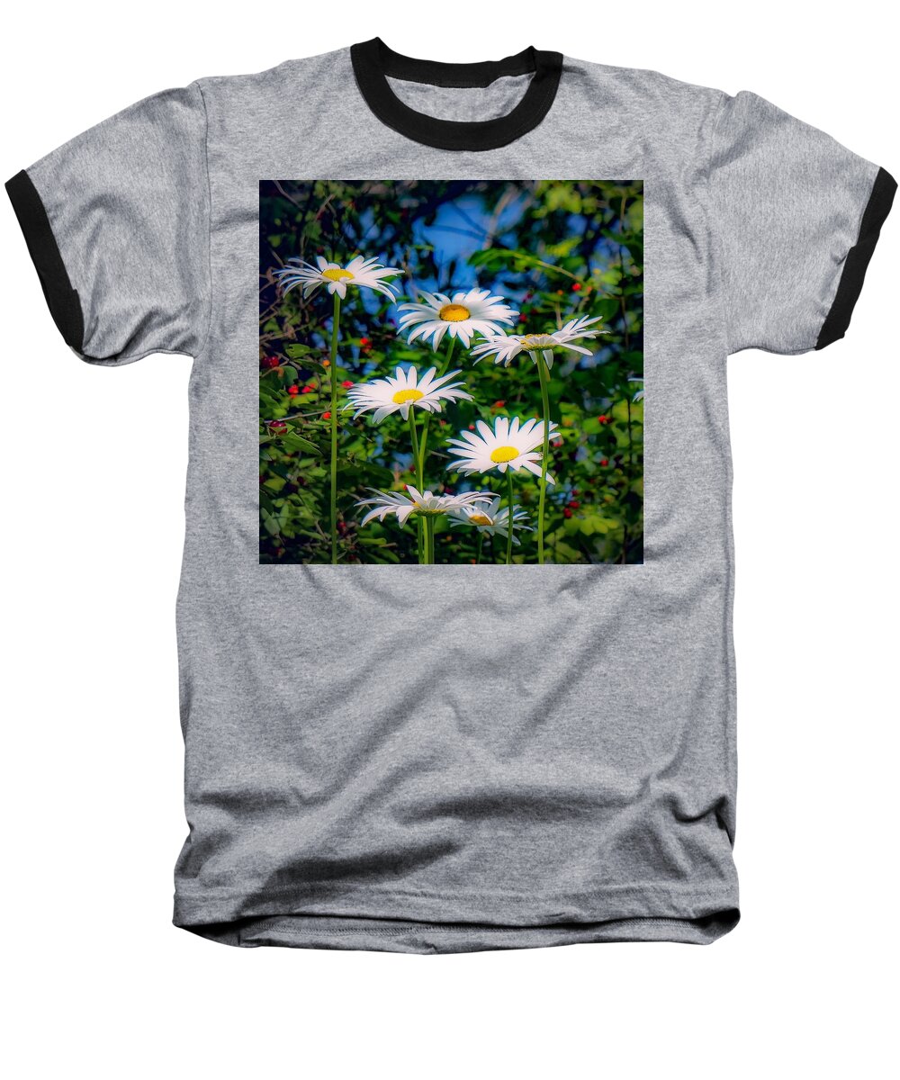  Baseball T-Shirt featuring the photograph Daisies and Friends by Kendall McKernon