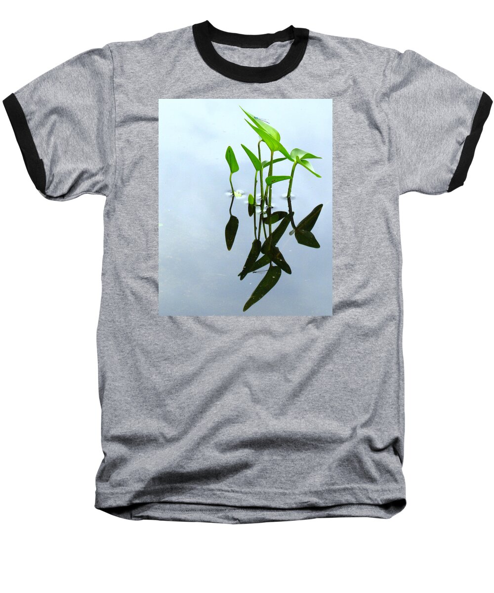 Pond Baseball T-Shirt featuring the photograph Damselfly In The Mirror by Lori Lafargue