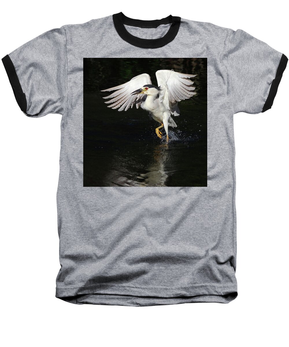 Night Heron Baseball T-Shirt featuring the photograph Dance On Water. by Evelyn Garcia