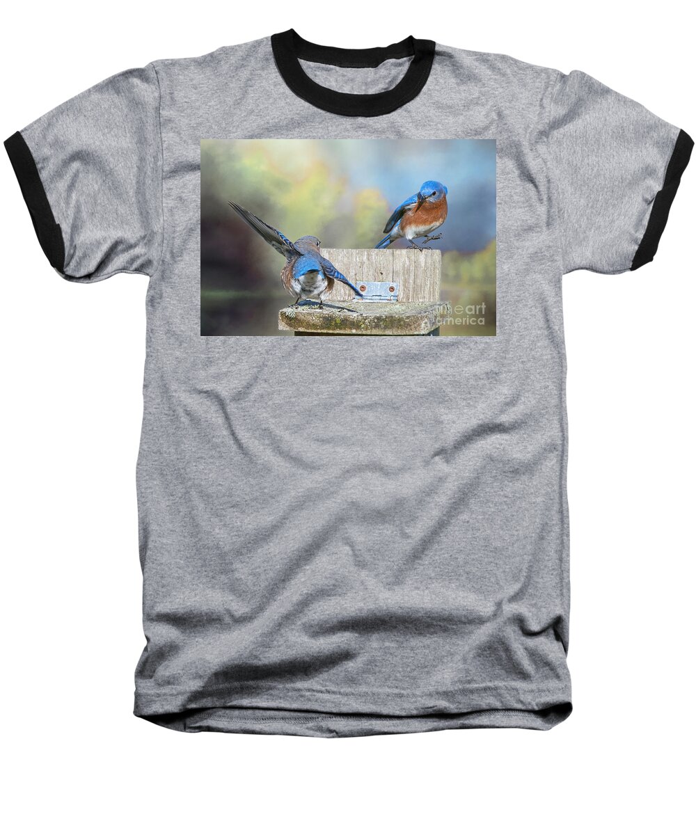 Bluebirds Baseball T-Shirt featuring the photograph Dancing Bluebirds by Bonnie Barry