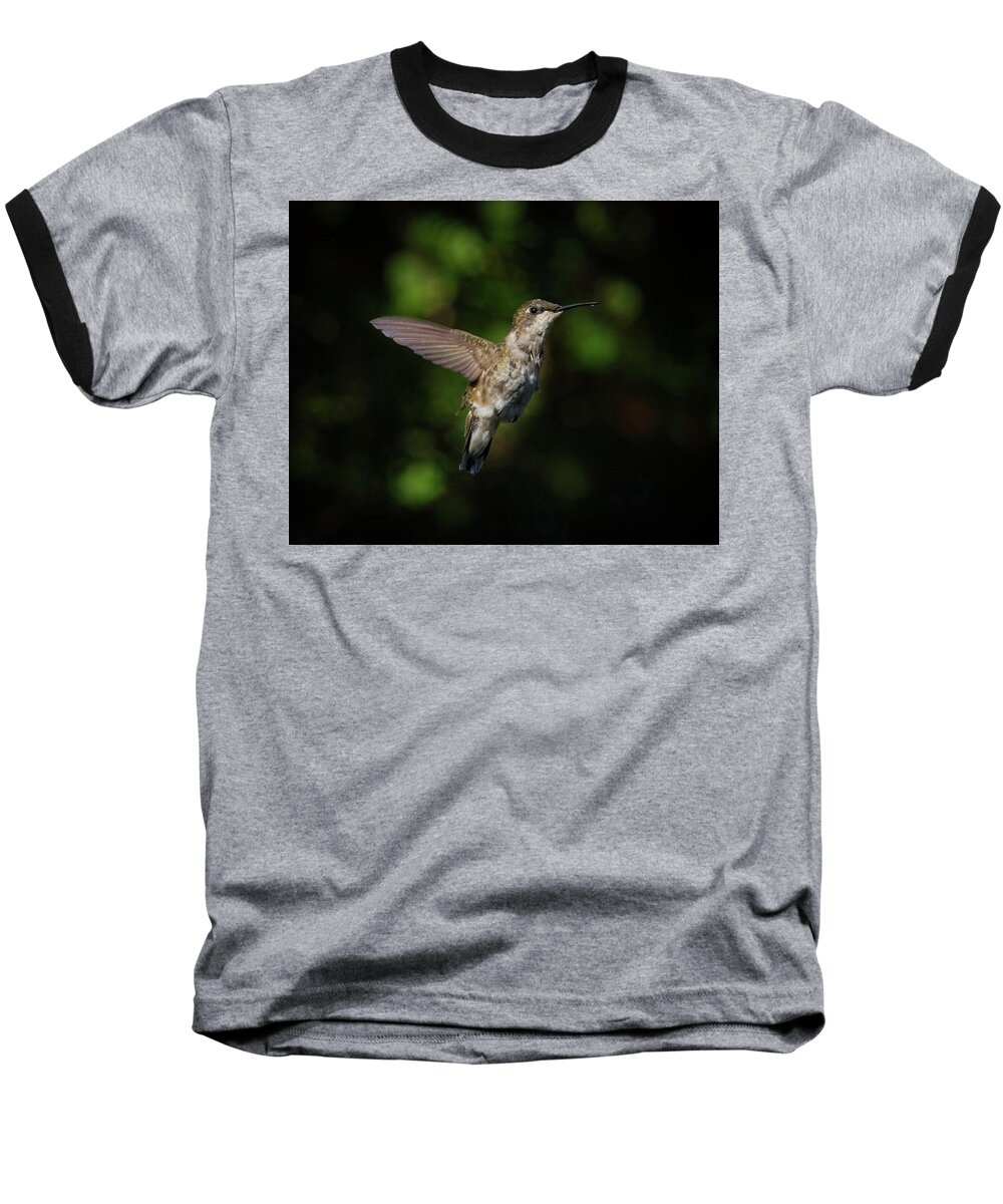 Color Photograph Of Hummingbird Flying Baseball T-Shirt featuring the photograph Dancing on air 3 by Kenneth Cole