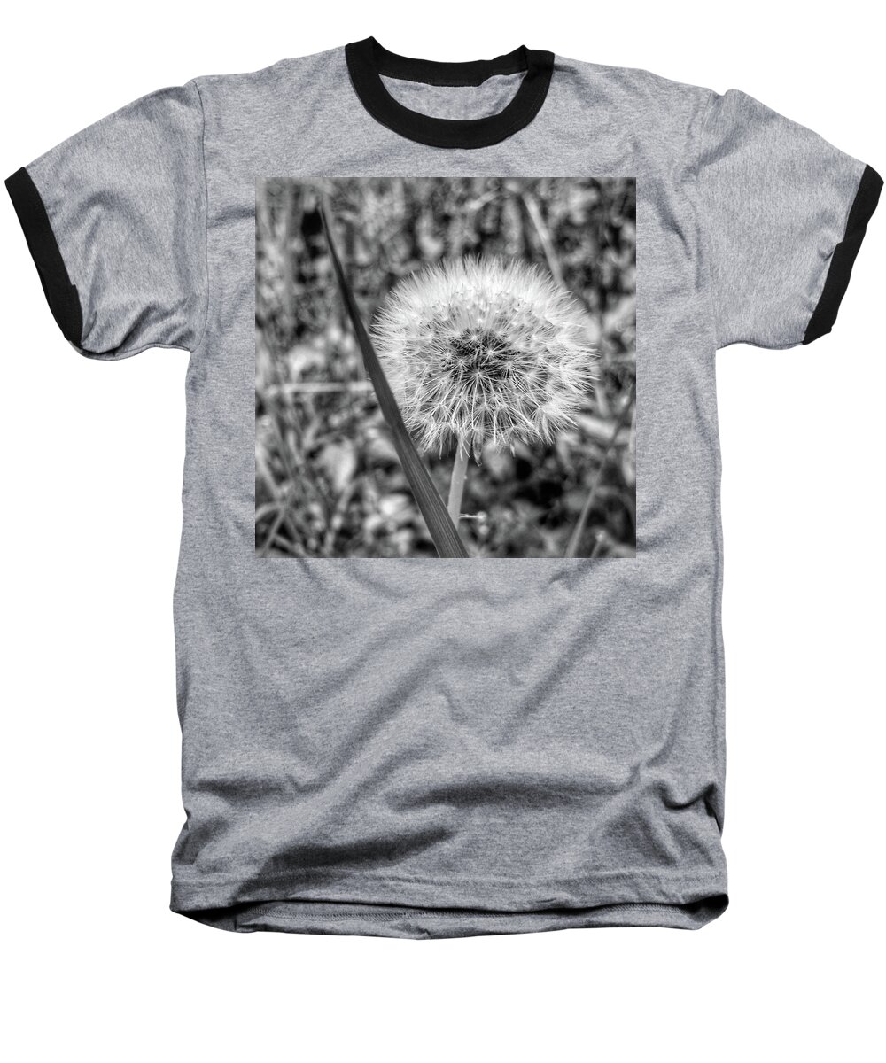 Weed Baseball T-Shirt featuring the photograph Dandelion by Al Harden