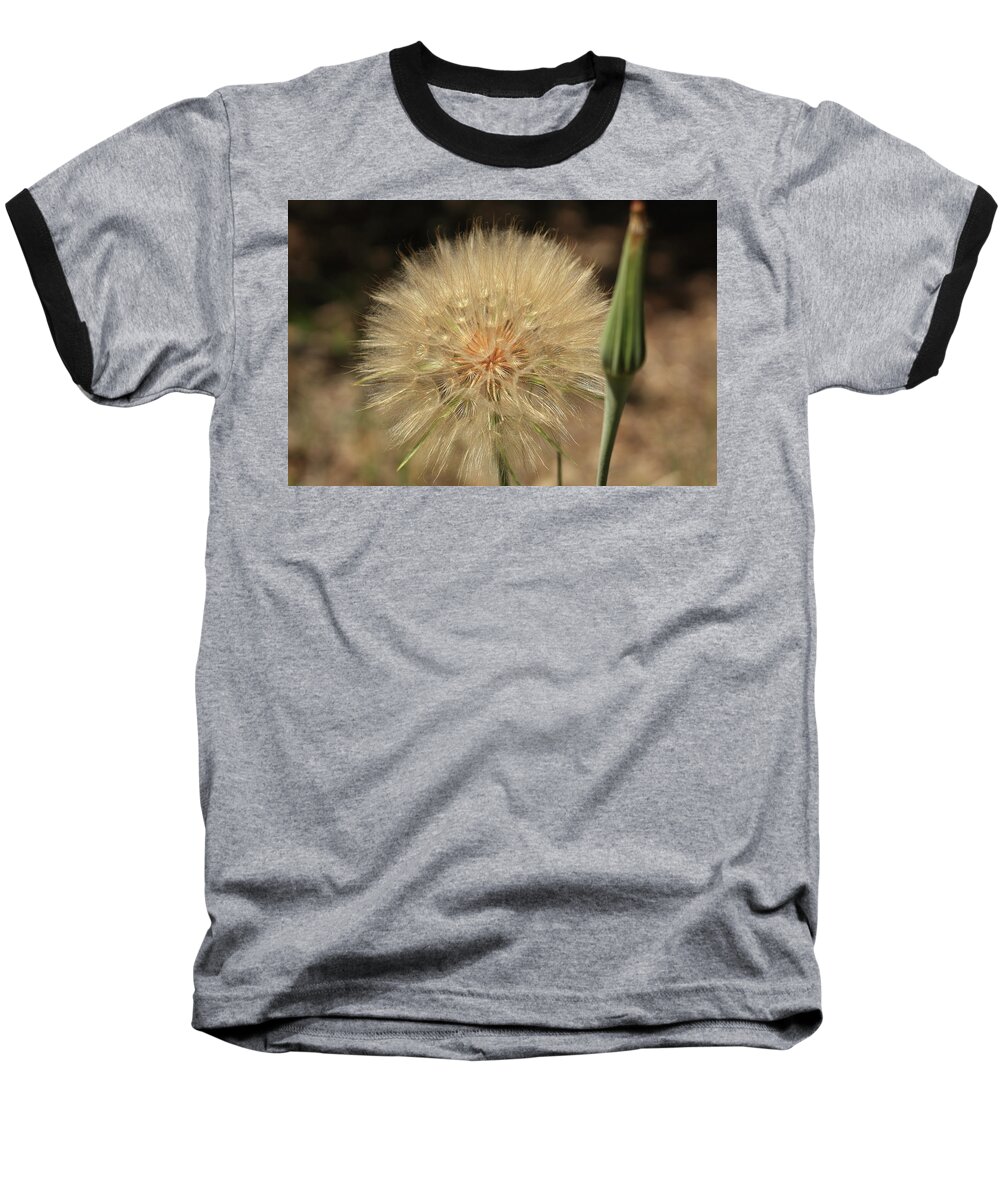 Dandelion Baseball T-Shirt featuring the photograph Dandelion by David Diaz