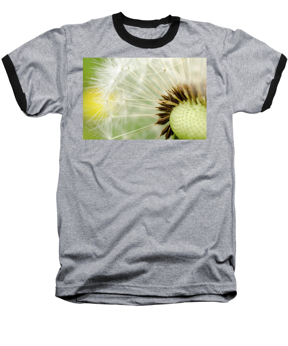 Photography Baseball T-Shirt featuring the photograph Dandelion Fluff by Rainer Kersten