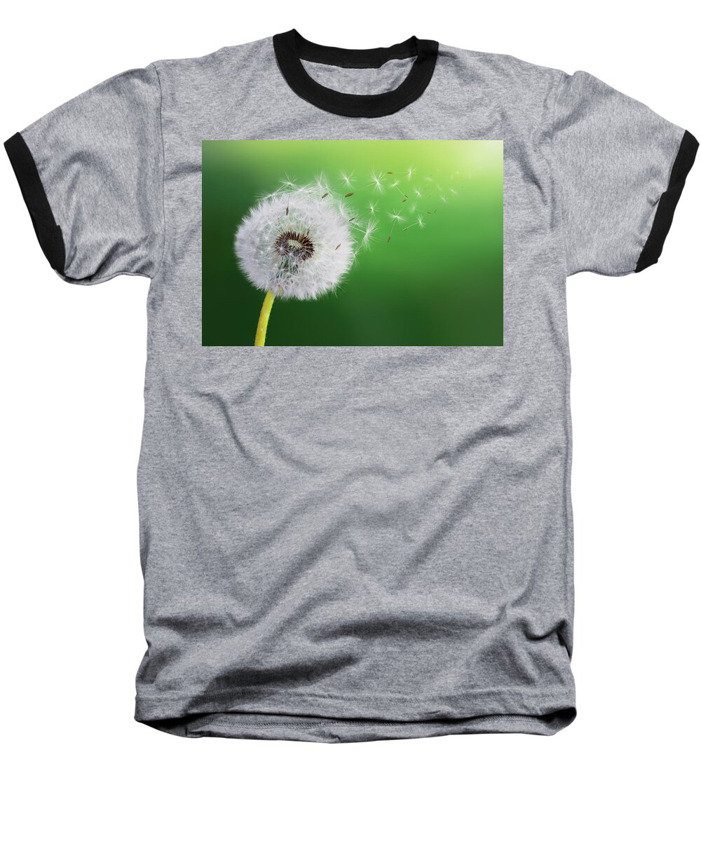 Abstract Baseball T-Shirt featuring the photograph Dandelion seed by Bess Hamiti