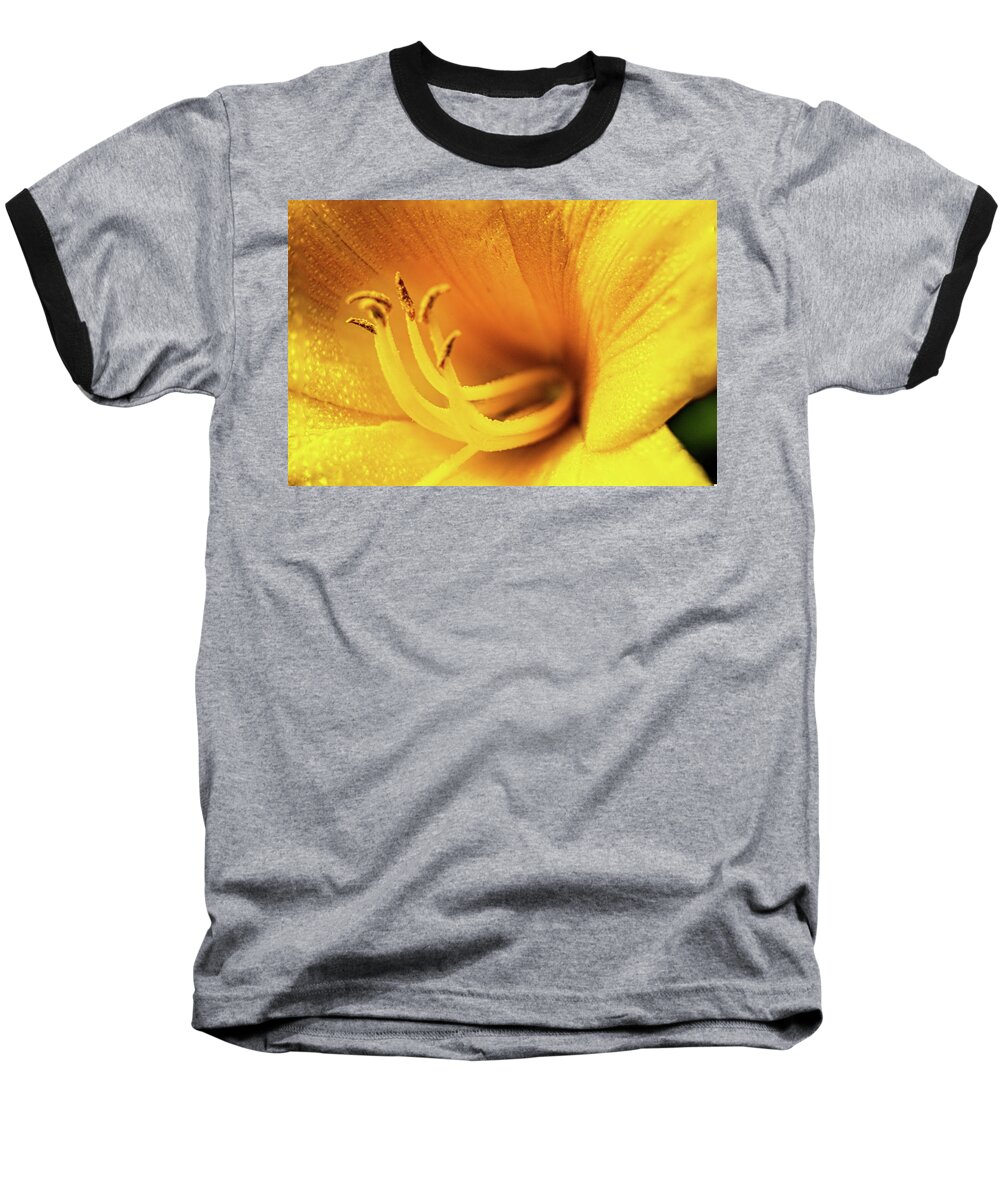 Day Lilly Baseball T-Shirt featuring the photograph Day Lilly Blossom Macro by Barry Jones