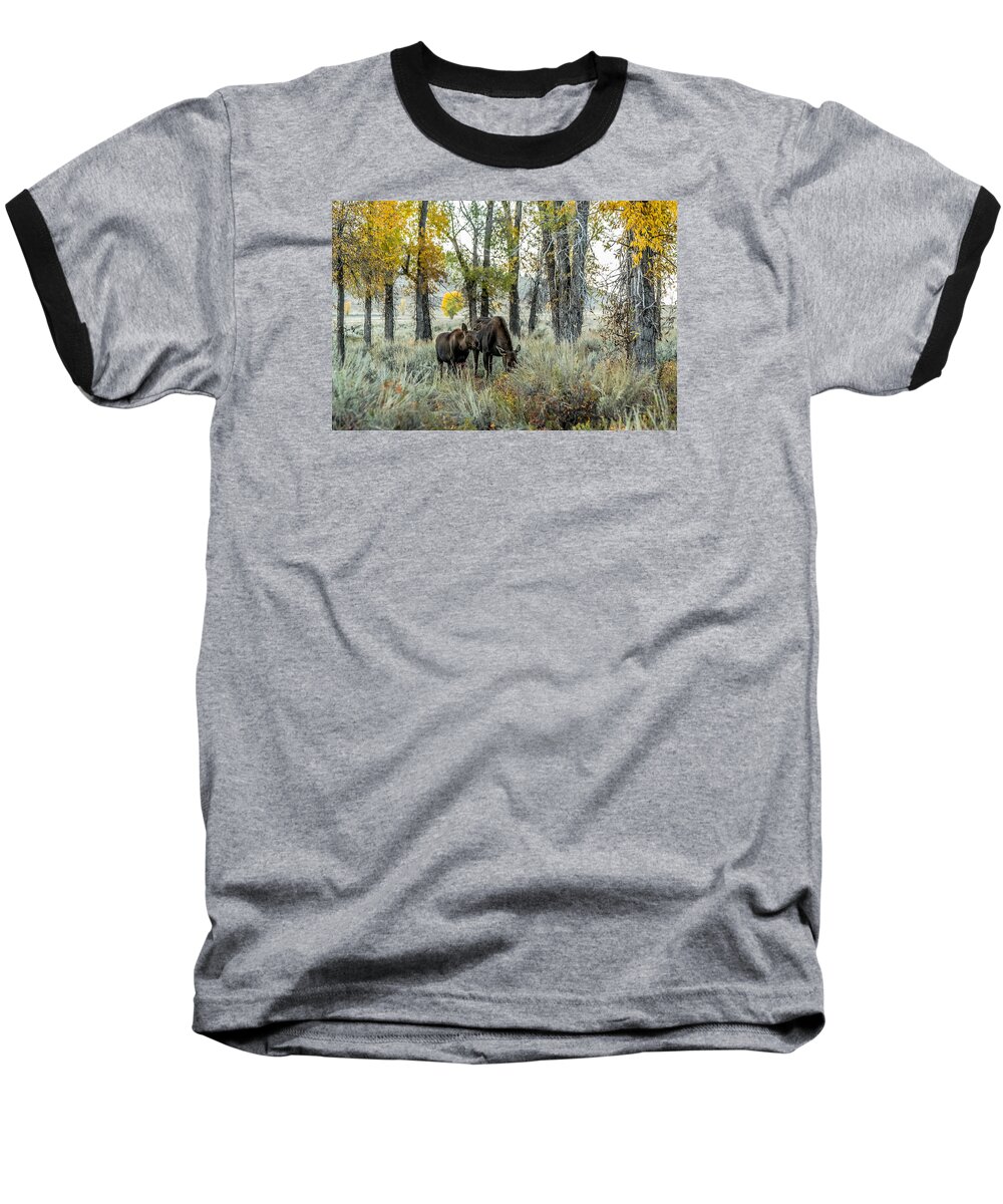 Moose Baseball T-Shirt featuring the photograph Day's End At Gros Ventre by Yeates Photography