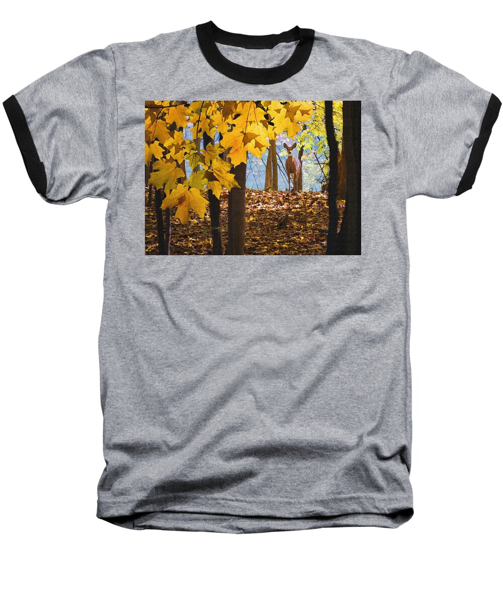 Nature Baseball T-Shirt featuring the photograph Dear in the sunlight by Sharon Foster