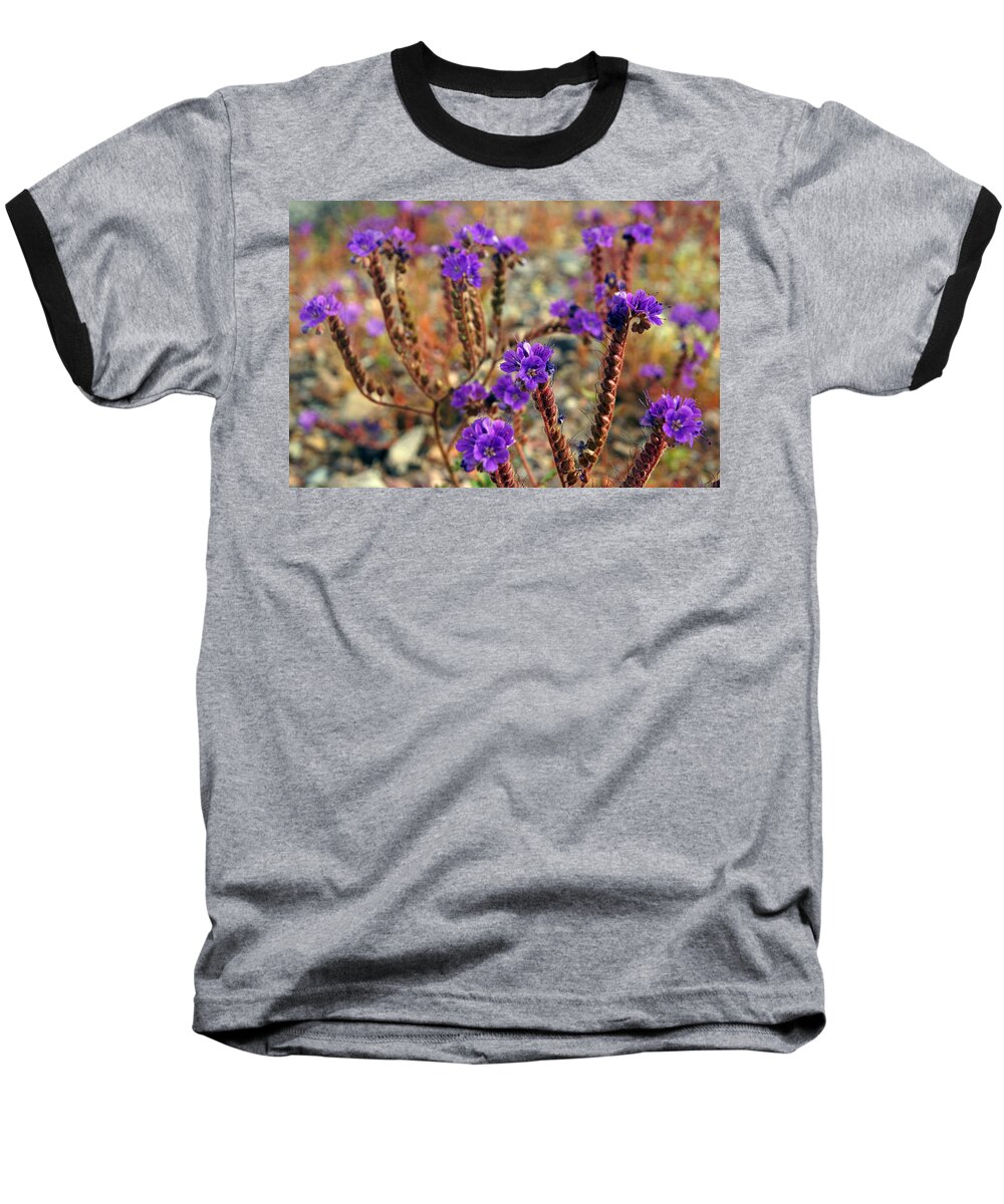 Superbloom 2016 Baseball T-Shirt featuring the photograph Death Valley Superbloom 106 by Daniel Woodrum
