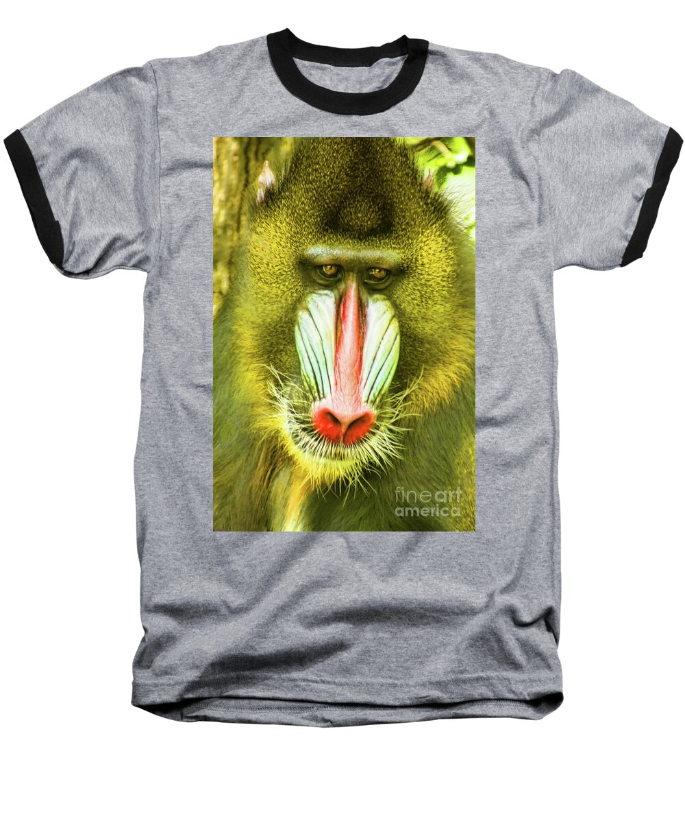 Baboon Baseball T-Shirt featuring the photograph Deceiving Eye by Steven Parker