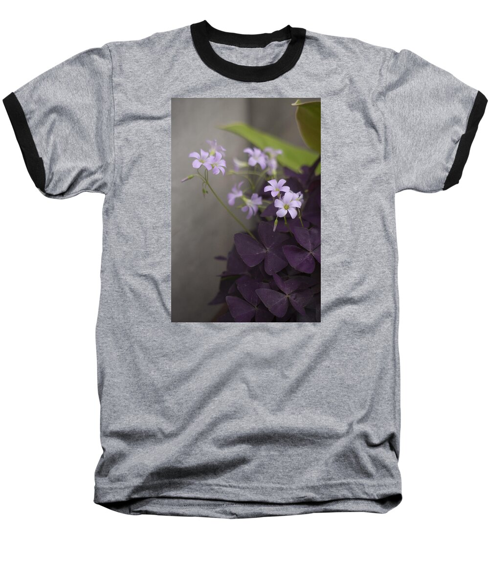  Flower Baseball T-Shirt featuring the photograph Delicate and Dark by Morris McClung