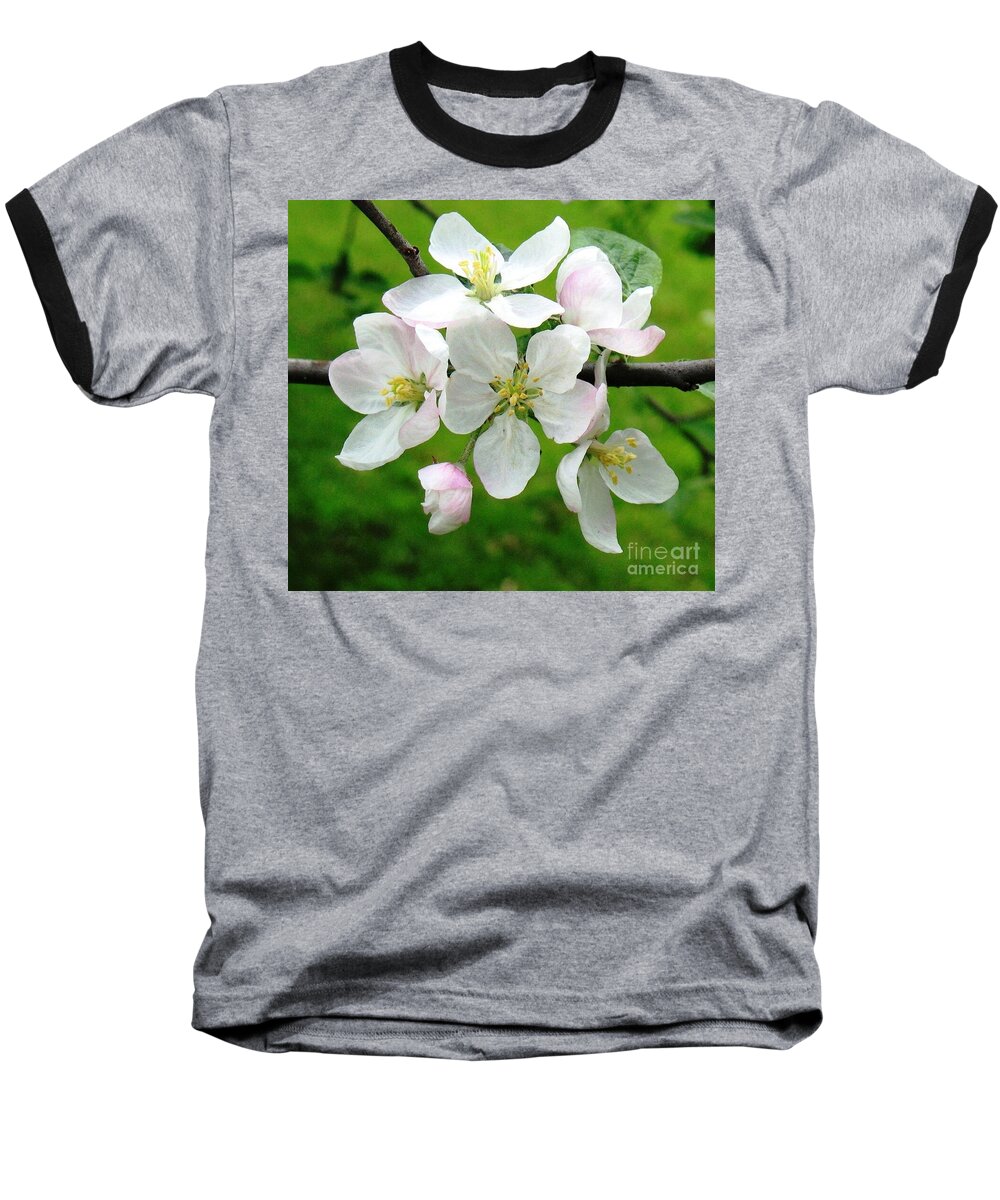 Apple Tree Blossoms Baseball T-Shirt featuring the photograph Delicate Apple Blossoms by Hazel Holland