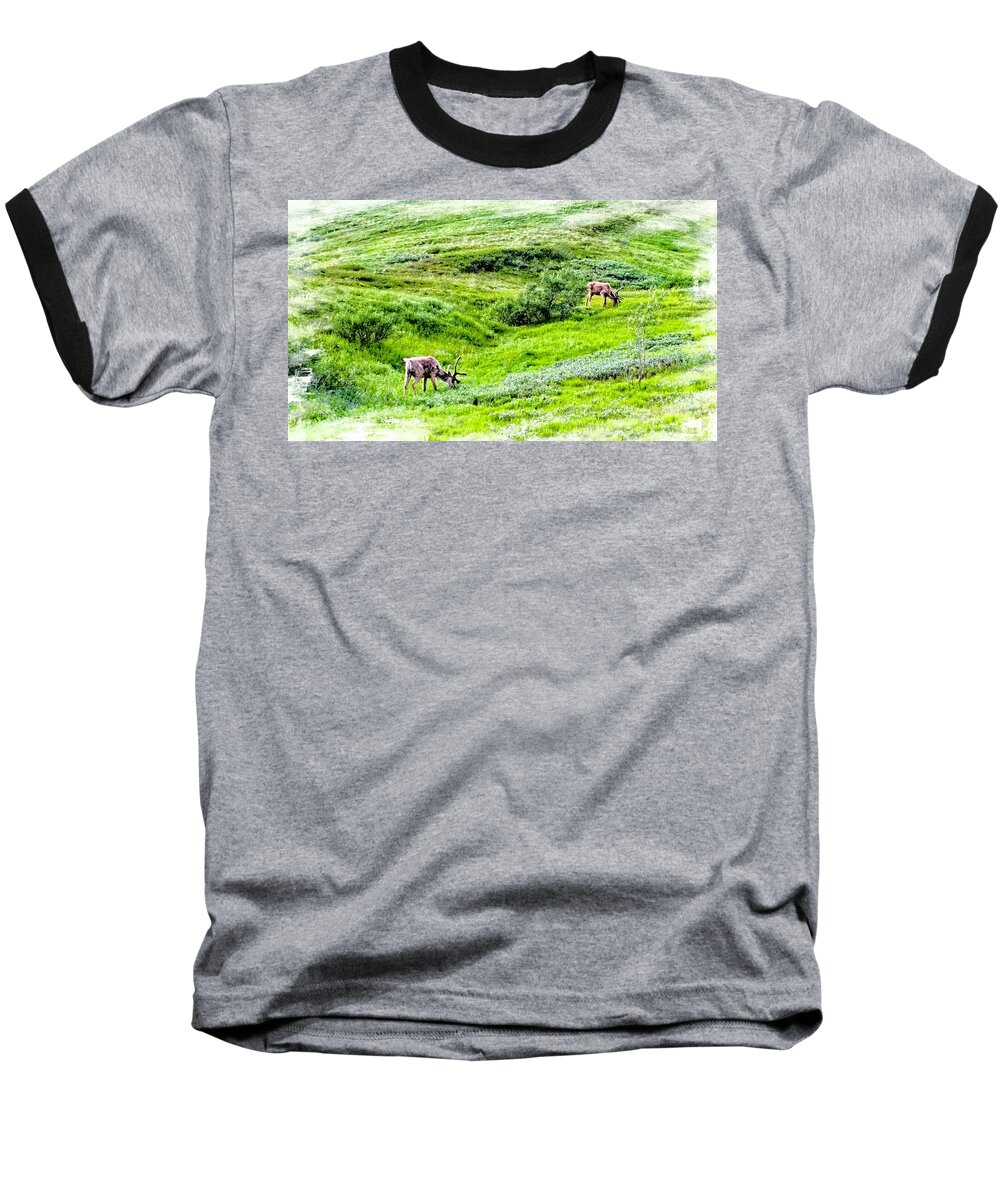 United States Baseball T-Shirt featuring the photograph Denali National Park Caribou by Joseph Hendrix