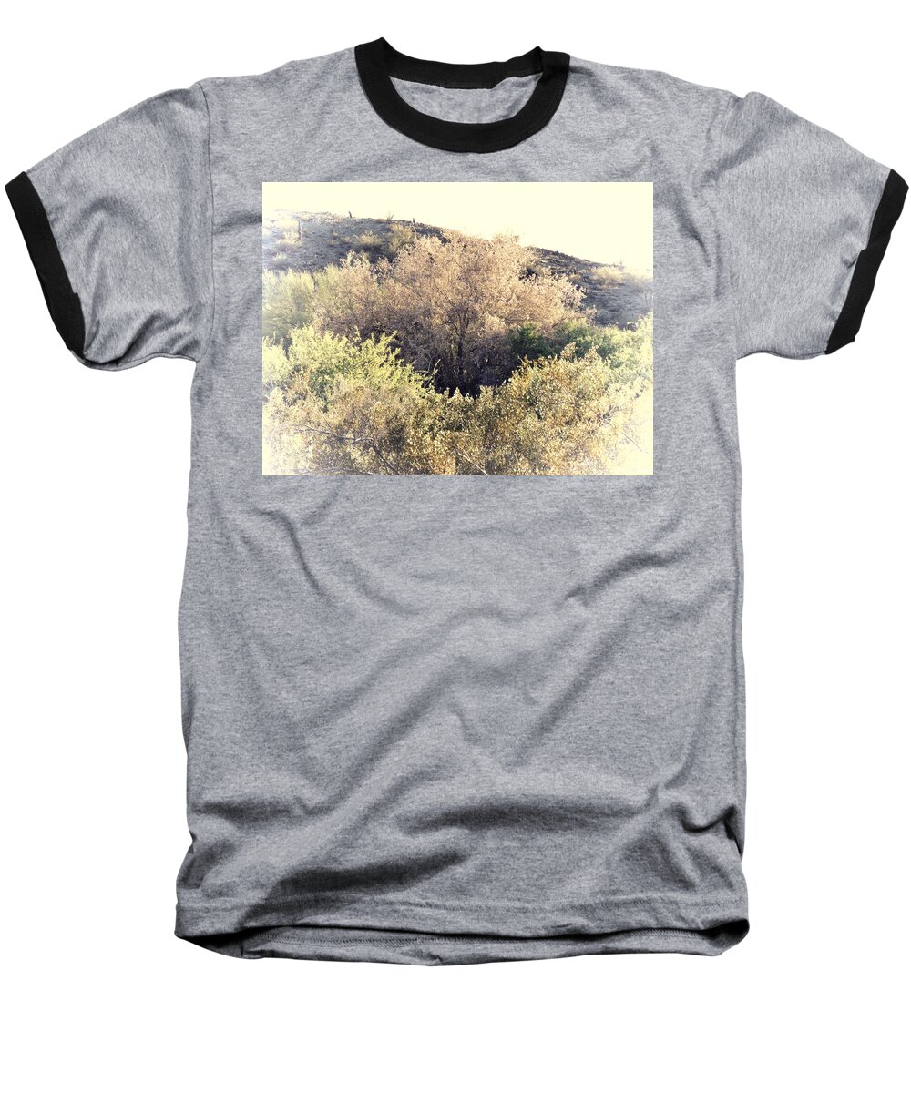 Afternoon Light Baseball T-Shirt featuring the photograph Desert Ironwood Afternoon by Judy Kennedy