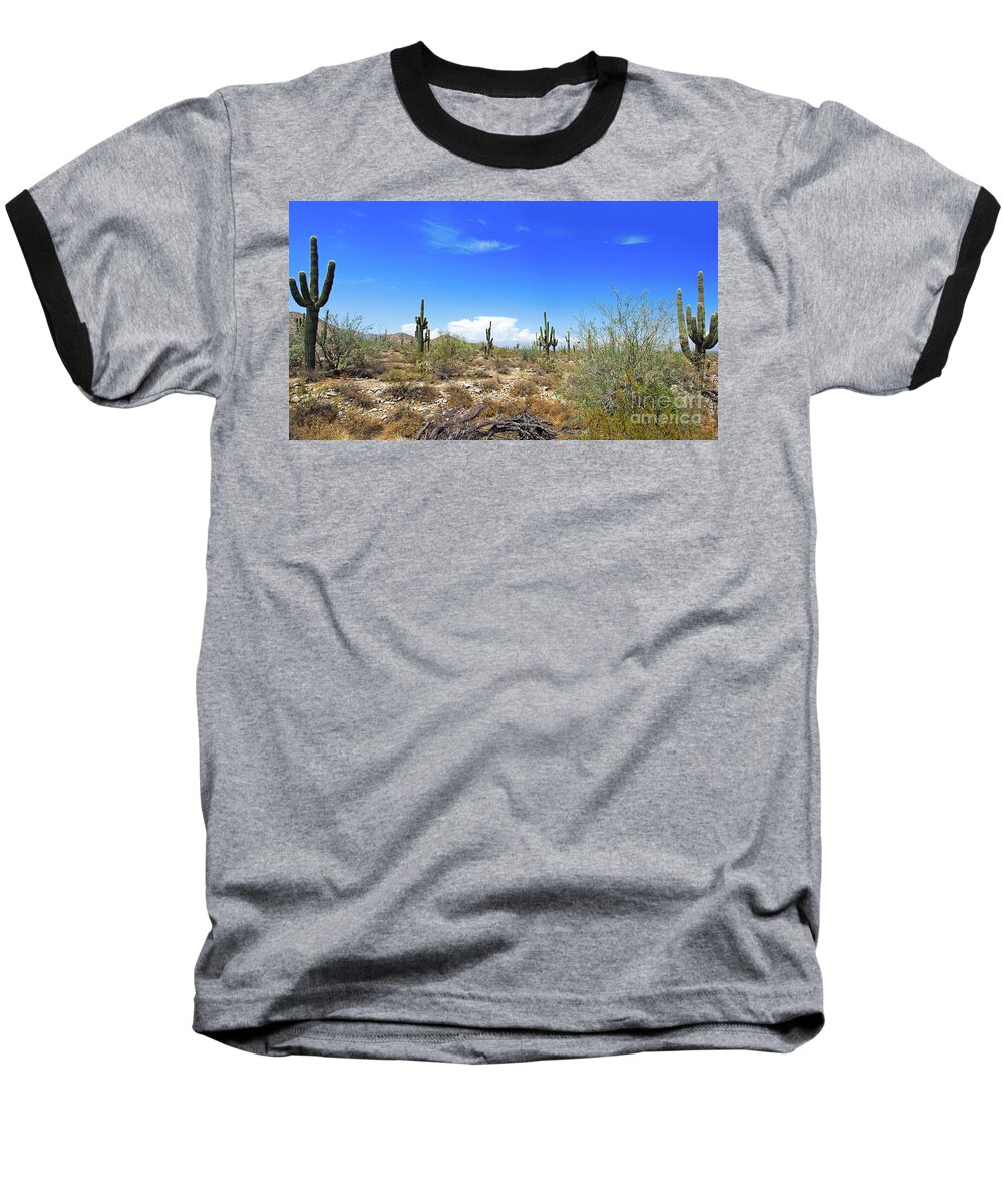 Arizona Baseball T-Shirt featuring the photograph Desert View by Bob Hislop