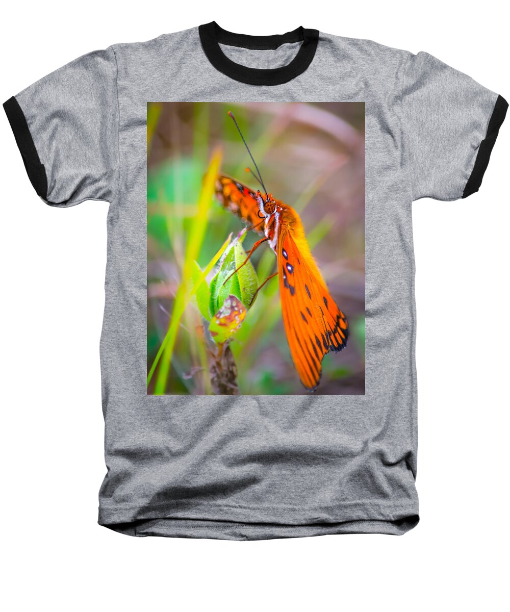 Butterfly Baseball T-Shirt featuring the photograph Details of the Monarch by Parker Cunningham