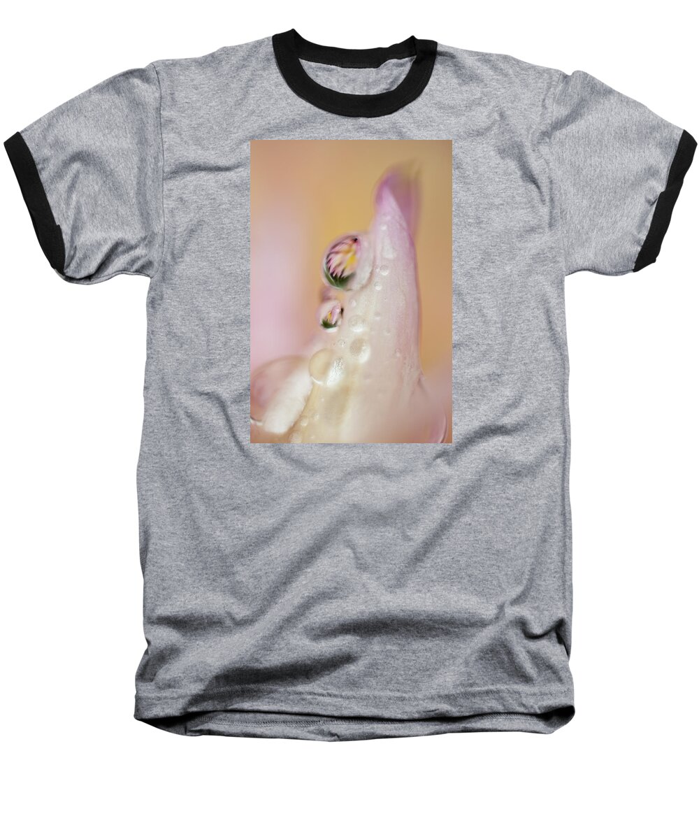 Flower Baseball T-Shirt featuring the photograph Dew on Dahlia by Robert Potts