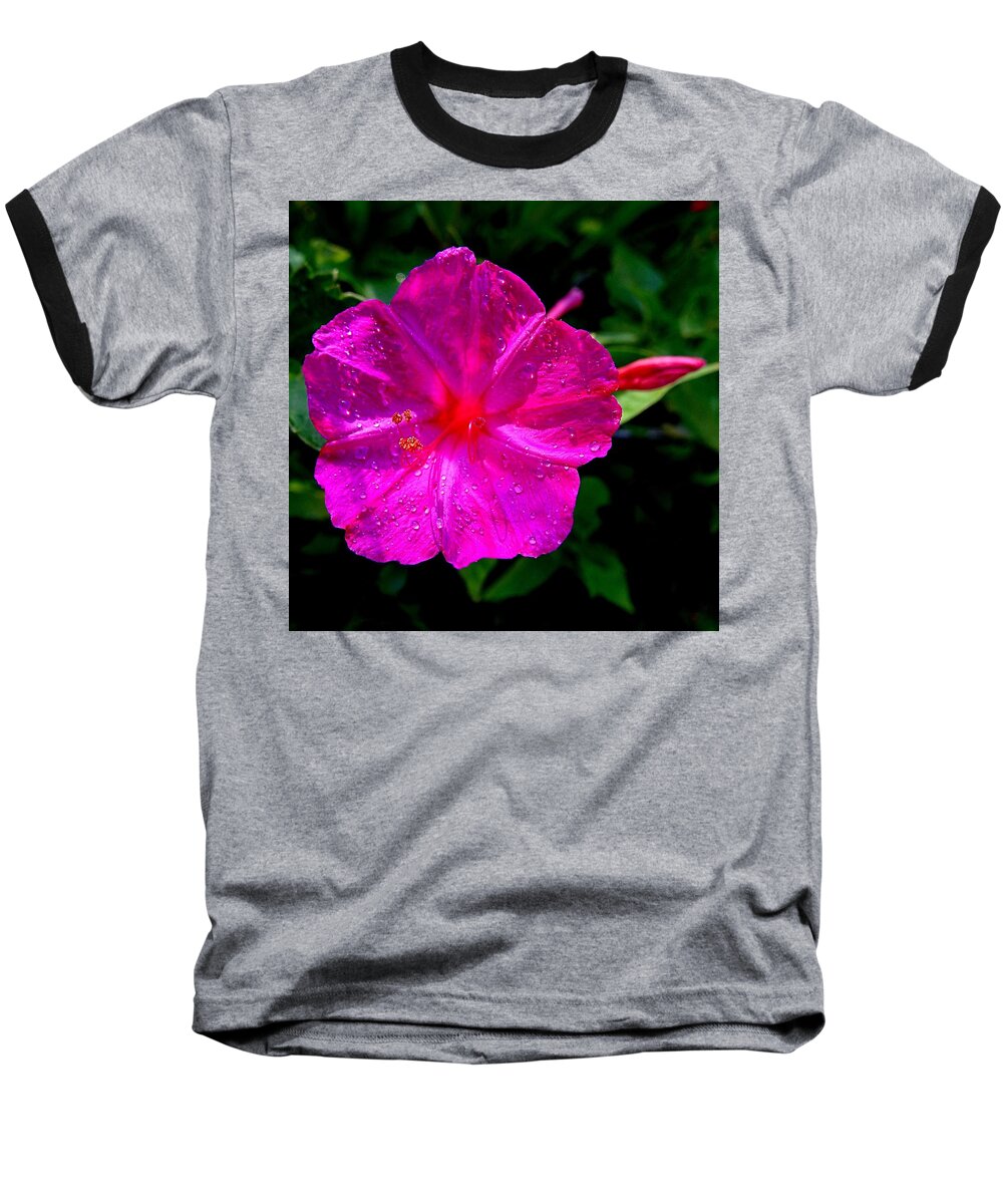 Four O'clock Baseball T-Shirt featuring the photograph Dew on Four O'clock Blossom by Nick Kloepping