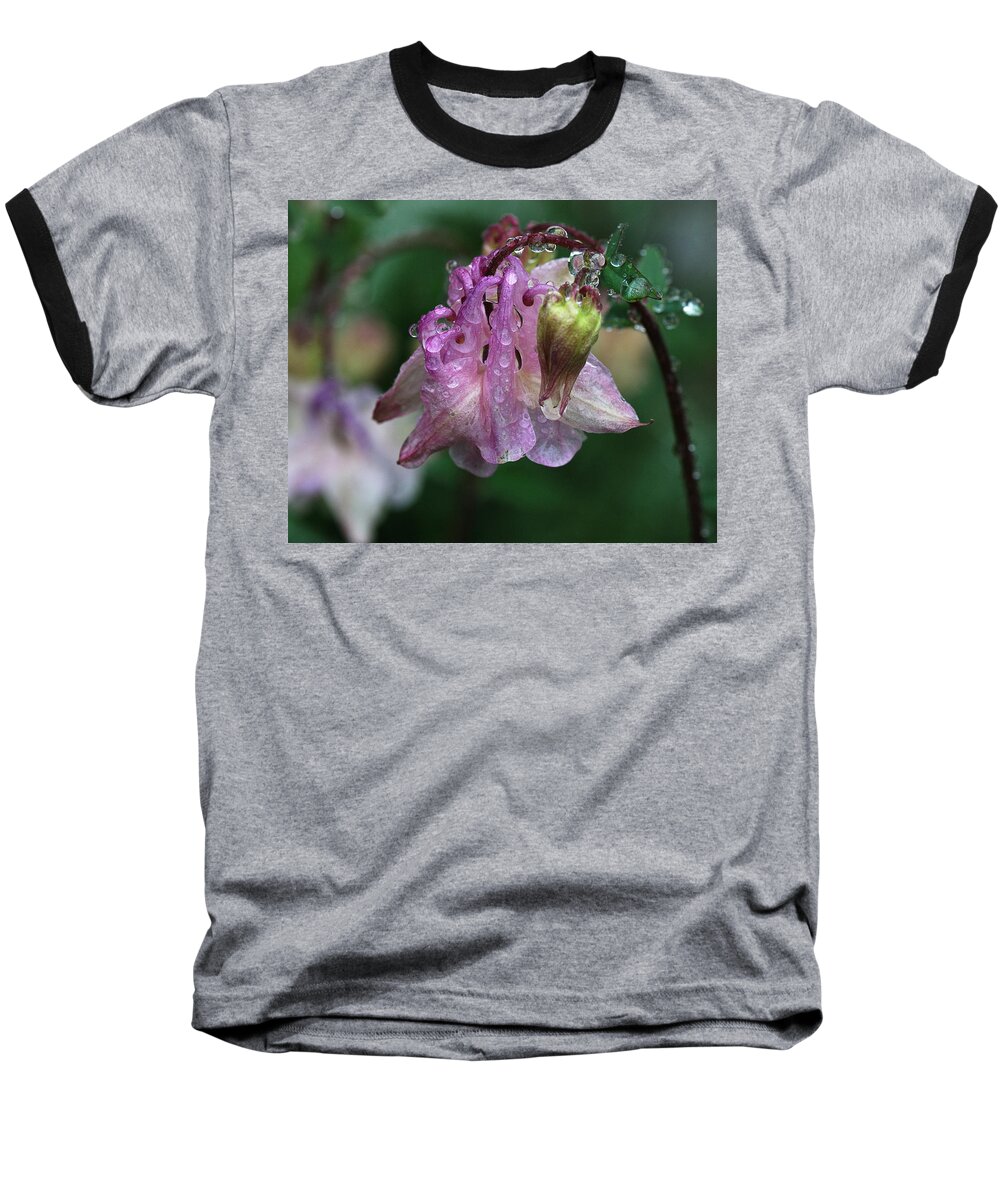 Flower Baseball T-Shirt featuring the photograph Dewey Morning Columbine by Sue Capuano