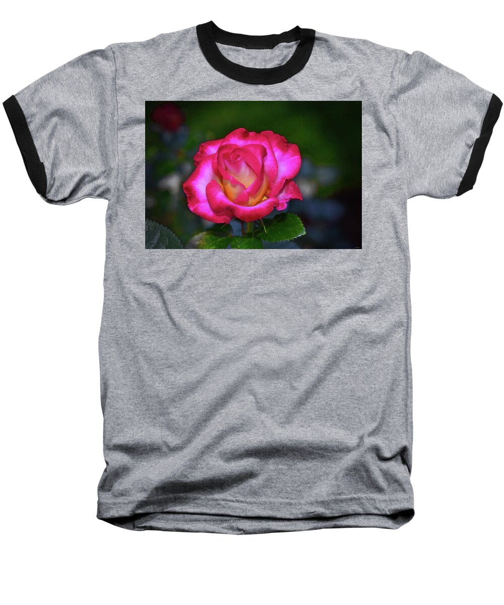 Flower Baseball T-Shirt featuring the photograph Dick Clark Rose 002 by George Bostian