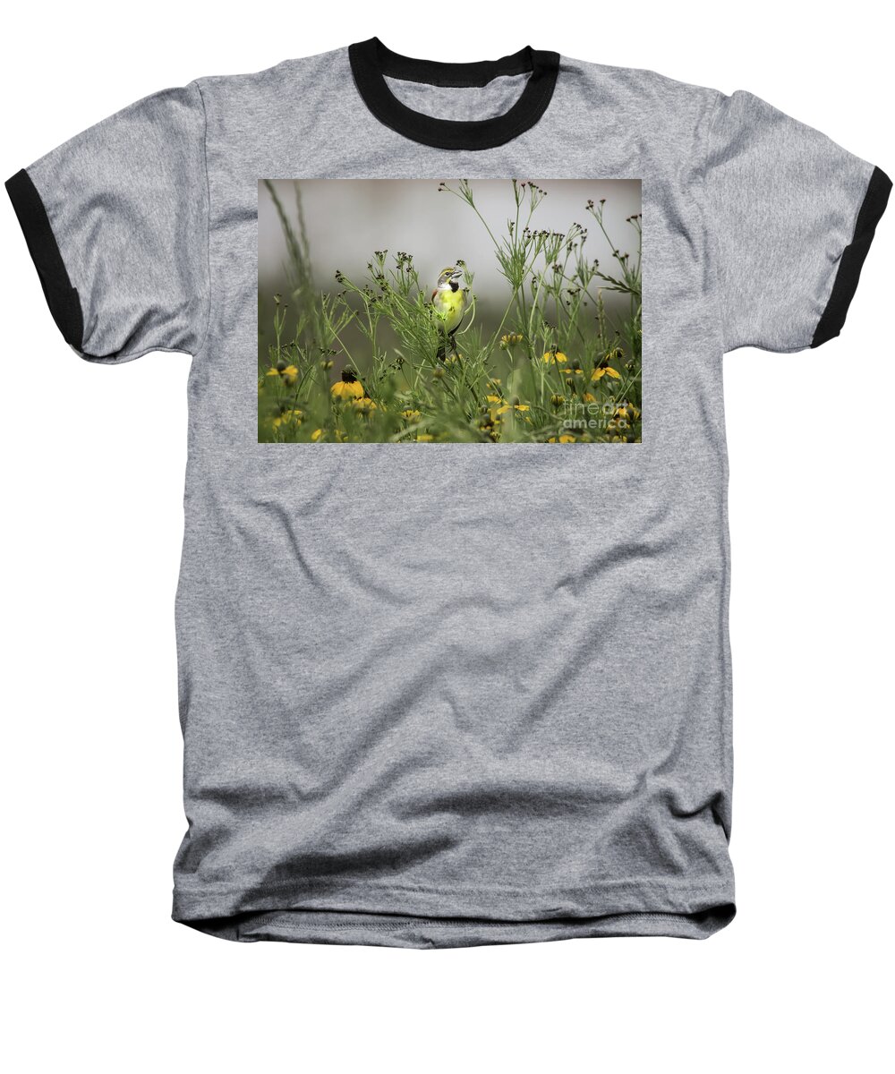 Nature Baseball T-Shirt featuring the photograph Dickcissel With Mexican Hat by Robert Frederick